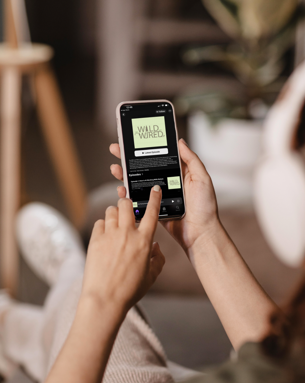 Screen Shot 2025-06-04 at 11.59.23 PM