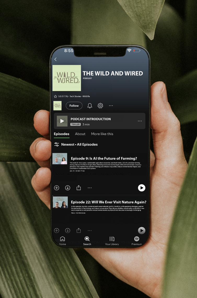 Screen Shot 2025-06-05 at 12.16.20 AM